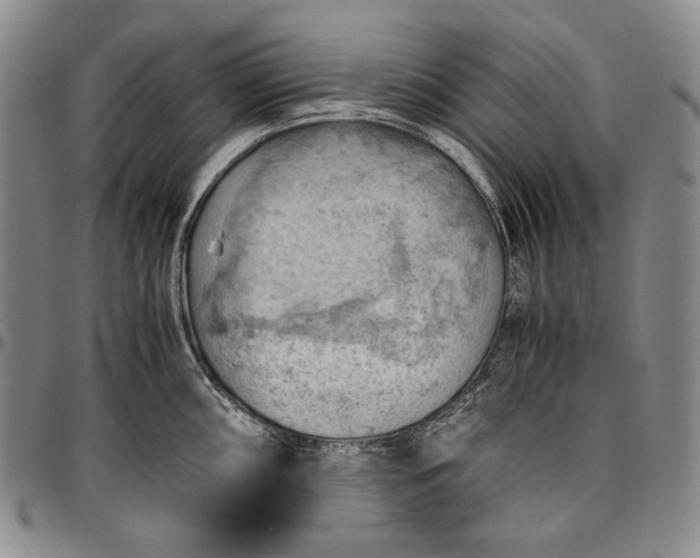 X0000096641098200802191214