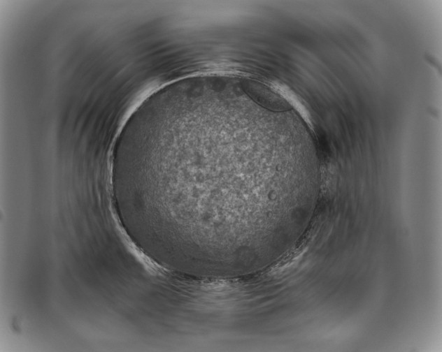 X0000096641099200802191214