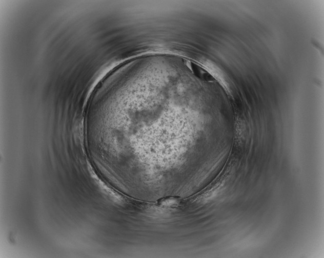 X0000096641100200802191214