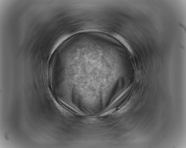 X0000096641101200802191214