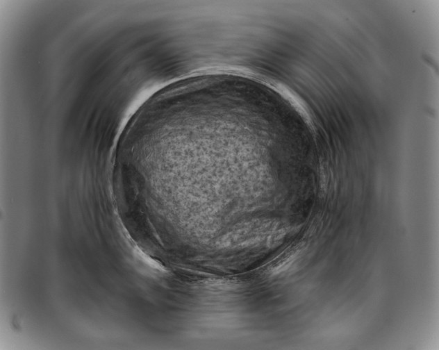 X0000096641102200802191214