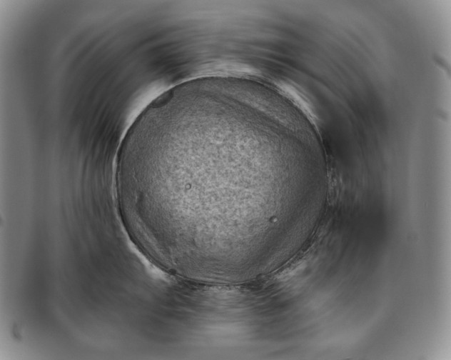 X0000096641103200802191214