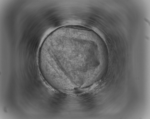 X0000096641104200802191214