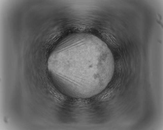 X0000096641105200802191213