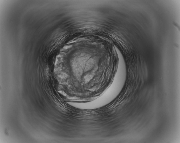 X0000096641108200802191213