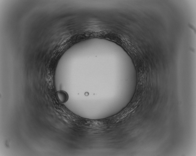 X0000096641109200802191213