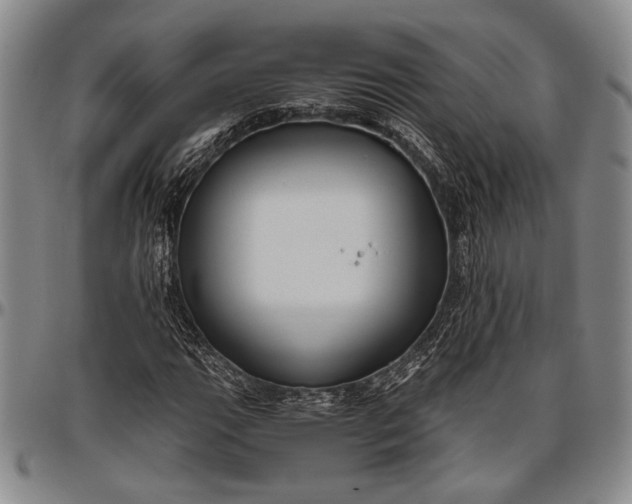 X0000096641111200802191213