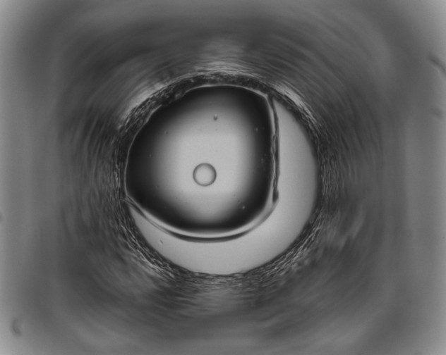 X0000096641112200802191213