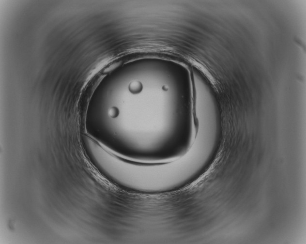 X0000096641114200802191213