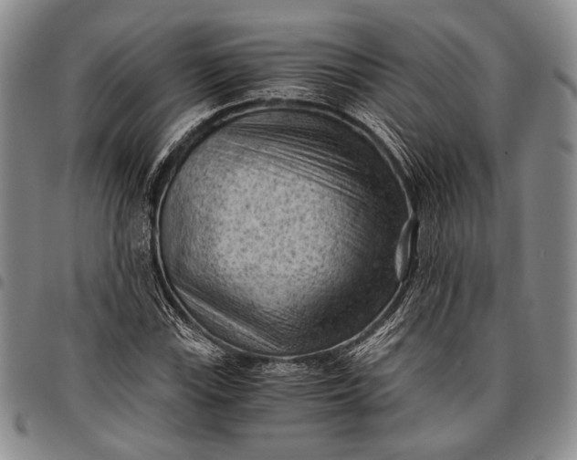 X0000096641115200802191213