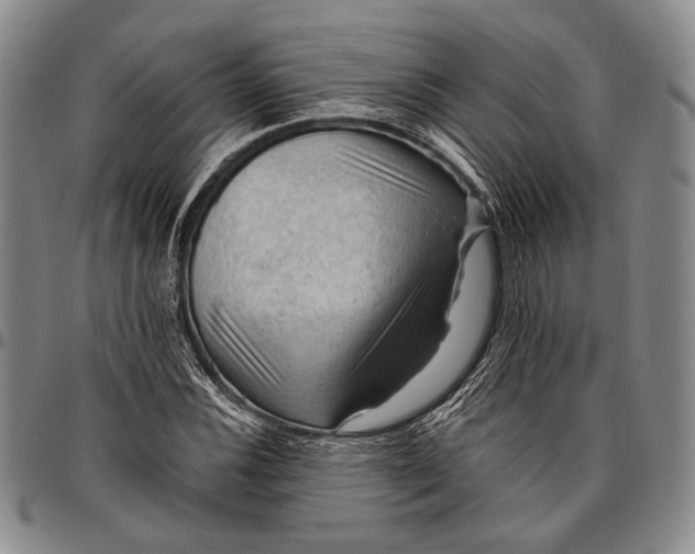 X0000096641116200802191213