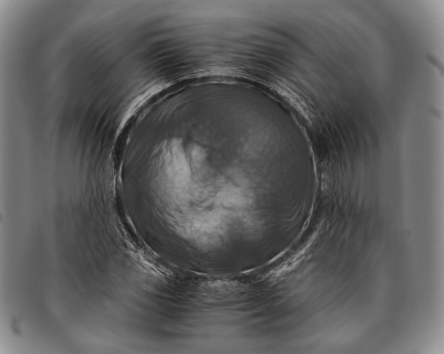 X0000096641117200802191213