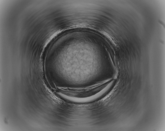 X0000096641118200802191213