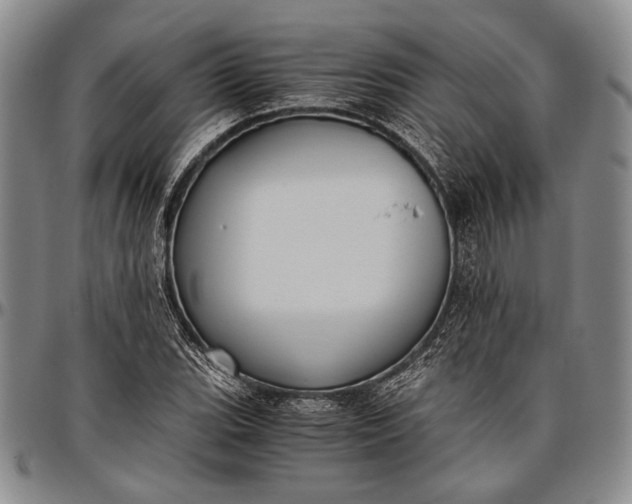 X0000096641119200802191213