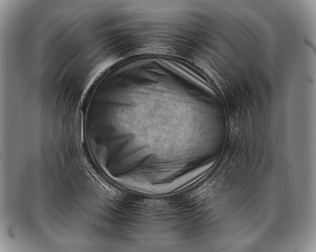 X0000096641123200802191213