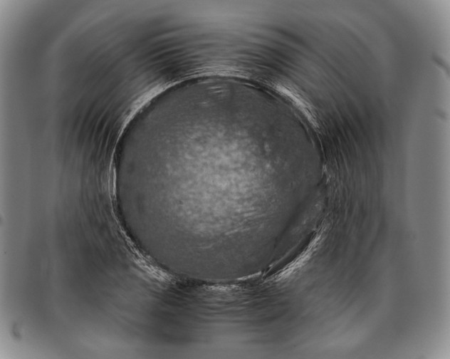 X0000096641125200802191213