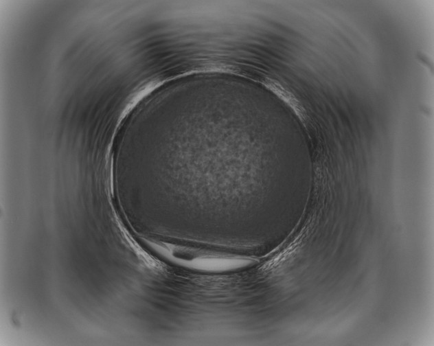 X0000096641127200802191213