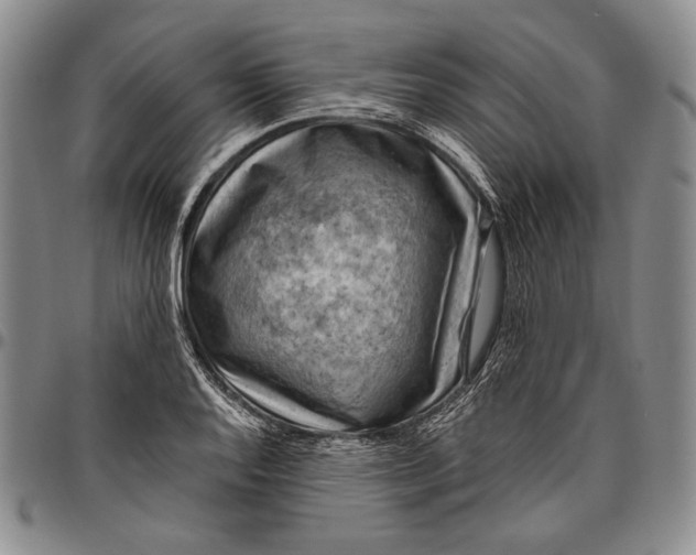 X0000096641128200802191213