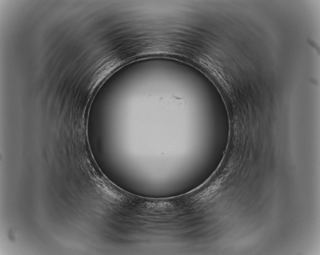 X0000096641129200802191213