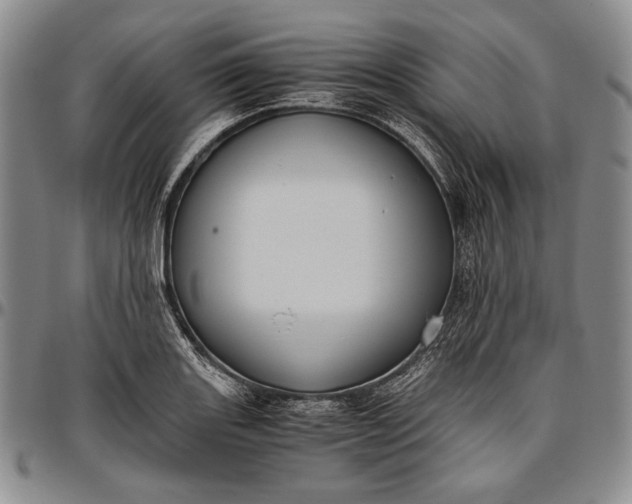 X0000096641131200802191214