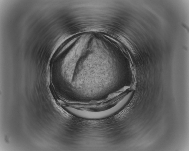 X0000096641132200802191214