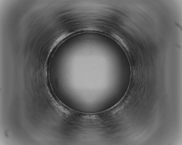 X0000096641133200802191214