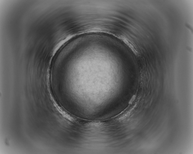 X0000096641134200802191214