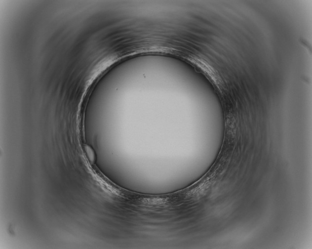 X0000096641135200802191214