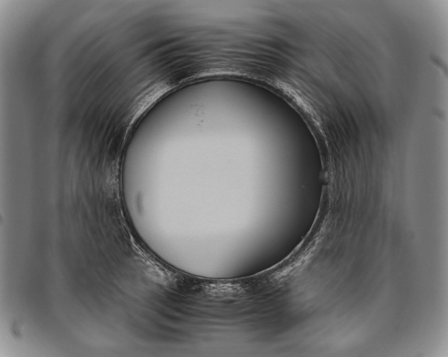 X0000096641137200802191214