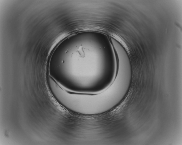 X0000096641138200802191214