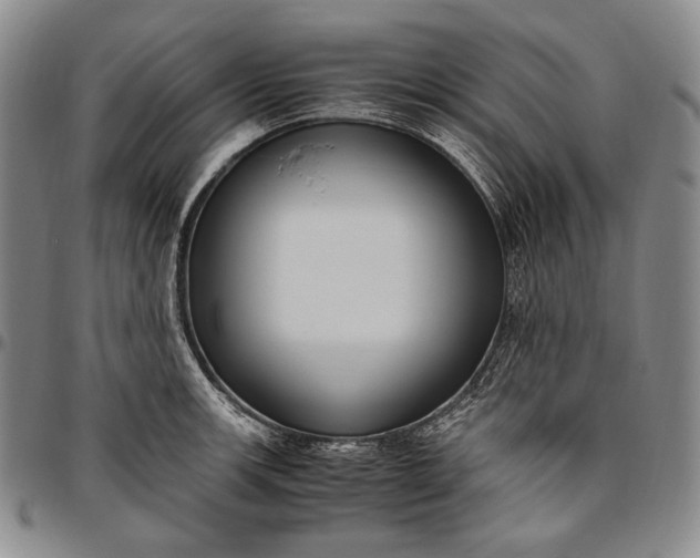 X0000096641139200802191214