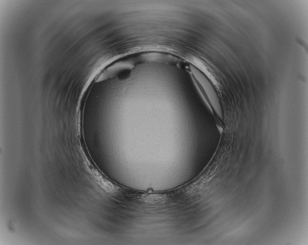 X0000096641140200802191214