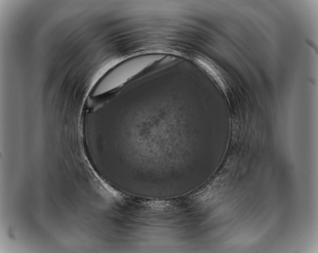 X0000096641141200802191214