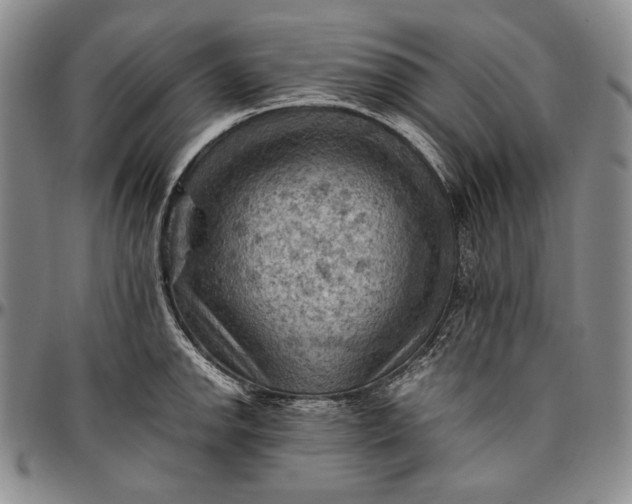 X0000096641142200802191214