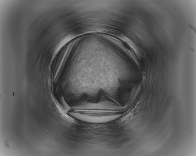 X0000096641143200802191214