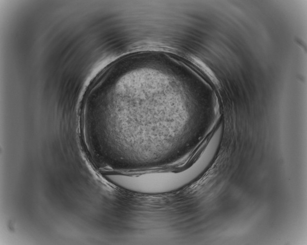 X0000096641144200802191214