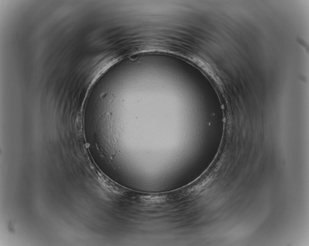 X0000096641145200802191214