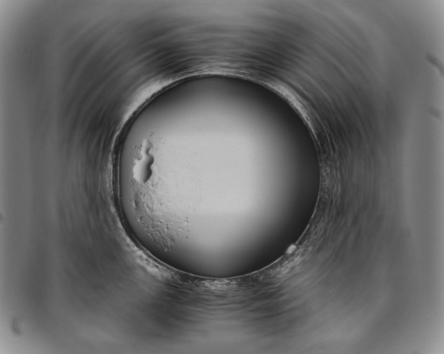 X0000096641147200802191214