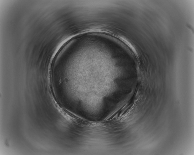 X0000096641148200802191214