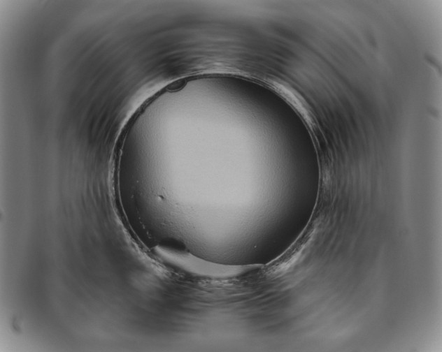 X0000096641149200802191214