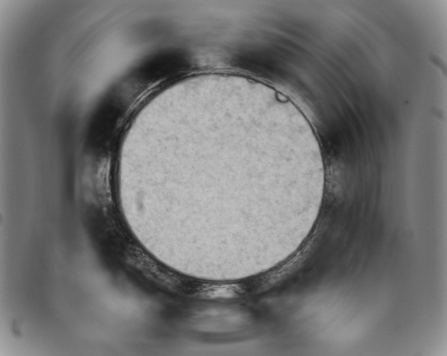 X0000096641150200802191214