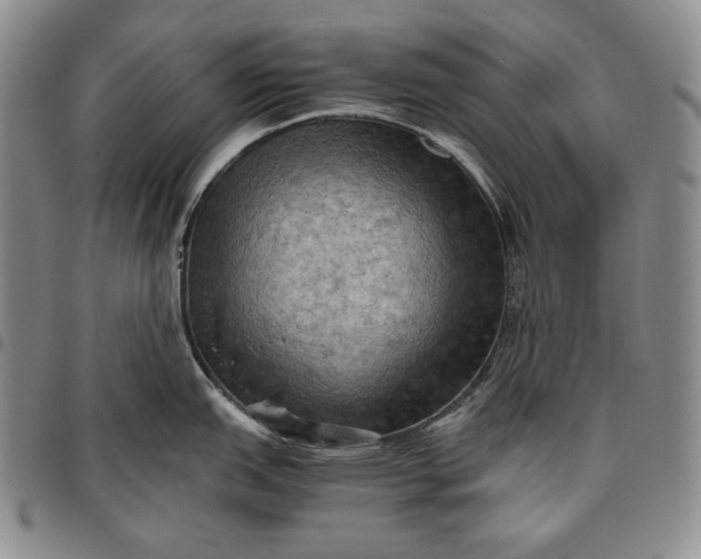 X0000096641151200802191214