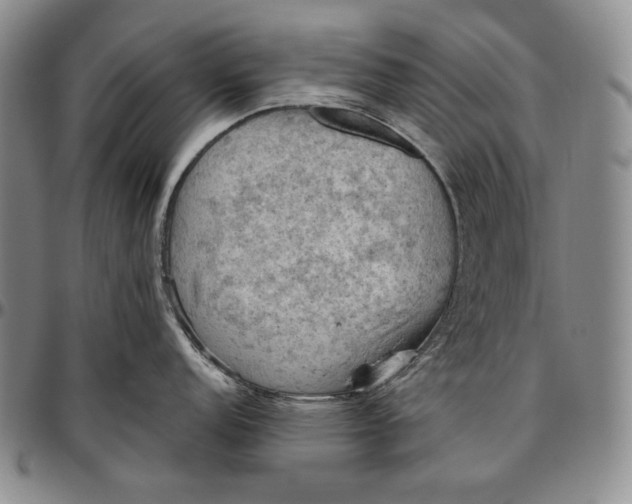 X0000096641152200802191214