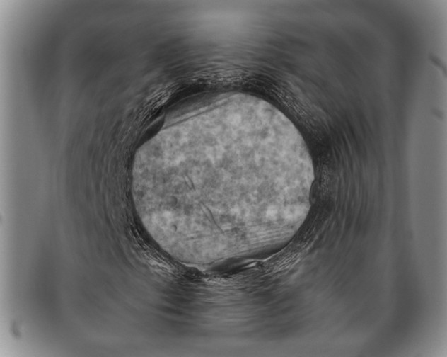 X0000096641153200802191213