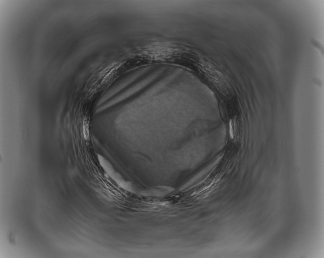 X0000096641155200802191213