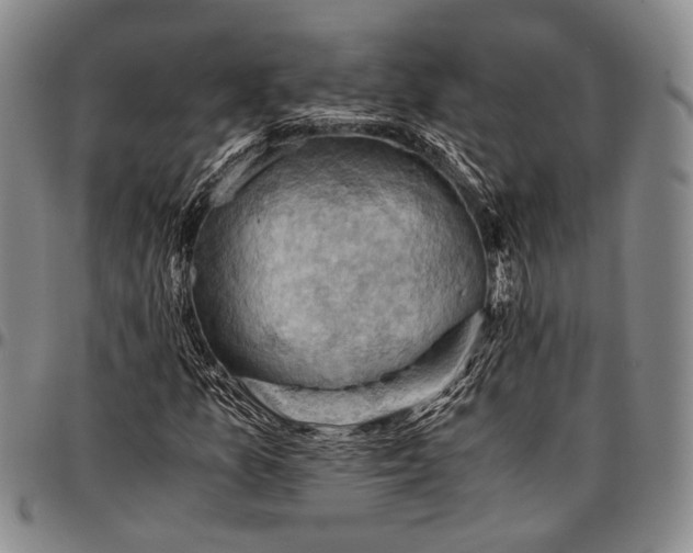 X0000096641157200802191213