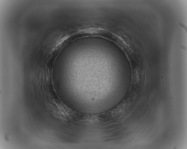 X0000096641158200802191213