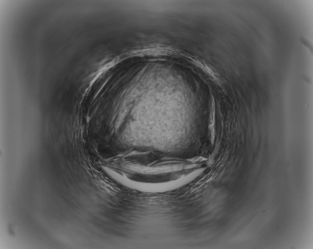 X0000096641160200802191213