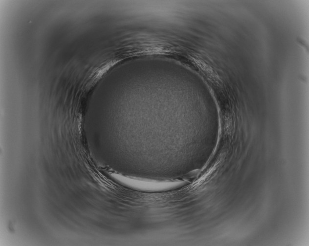 X0000096641161200802191213