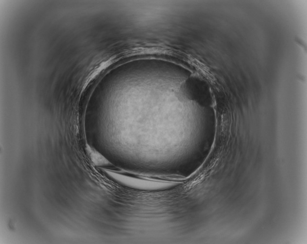 X0000096641165200802191213